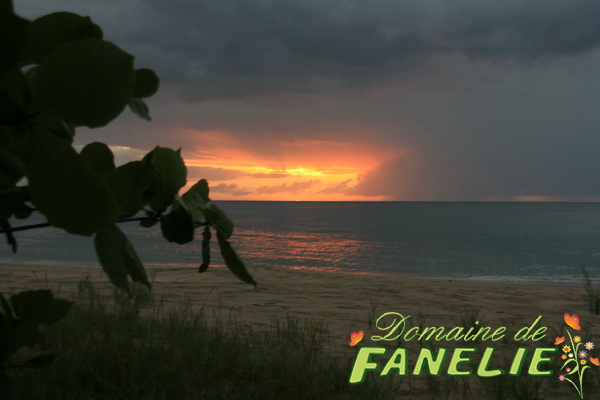 FANELIE Location - Deshaies - GUADELOUPE F.W.I.