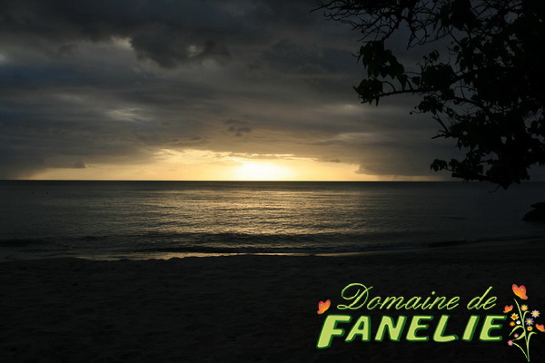 FANELIE Location - Deshaies - GUADELOUPE F.W.I.