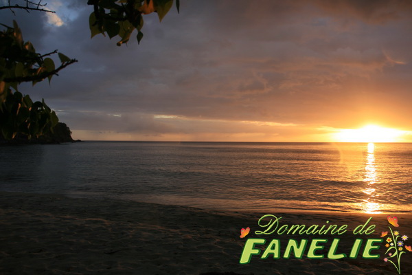 FANELIE Location - Deshaies - GUADELOUPE F.W.I.