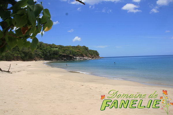 FANELIE Location - Deshaies - GUADELOUPE F.W.I.