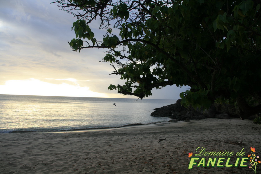 FANELIE Location - Deshaies - GUADELOUPE F.W.I.