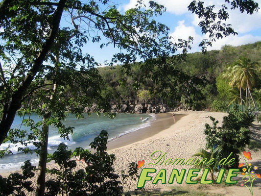 FANELIE Location - Deshaies - GUADELOUPE F.W.I.