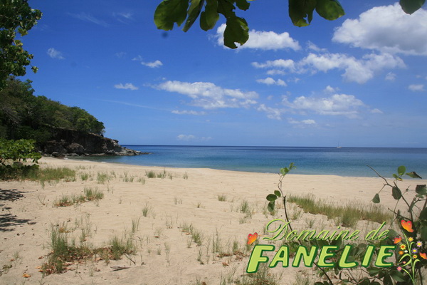 FANELIE Location - Deshaies - GUADELOUPE F.W.I.